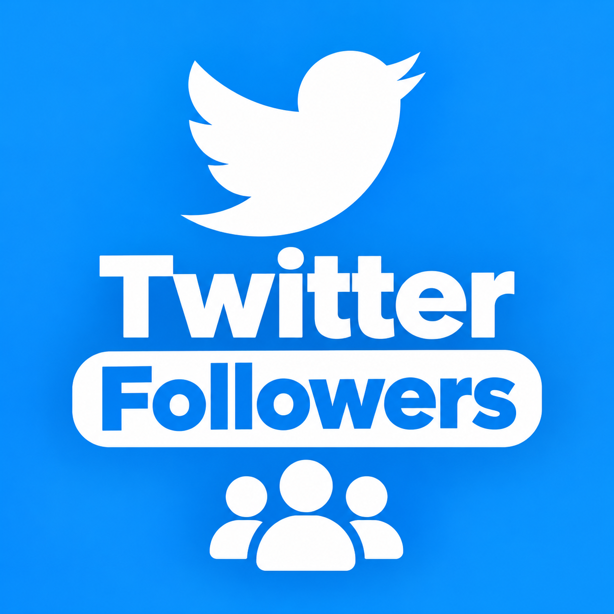 1000 USA Twitter Followers HQ Instant Delivery