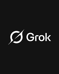 Grok best Space X ai accounts good quility