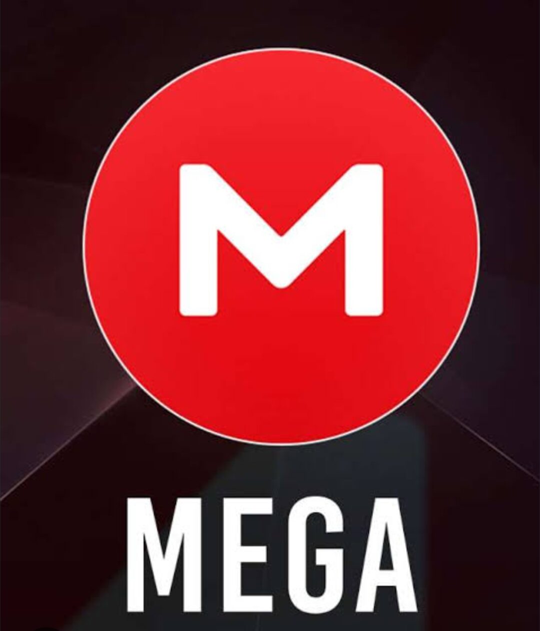 Mega account with Mail verified account